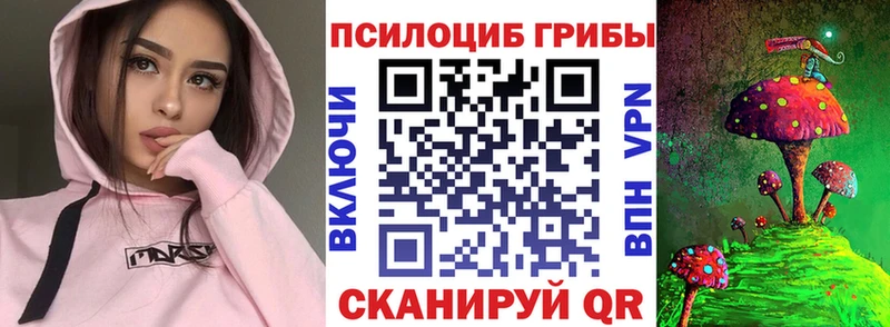 Псилоцибиновые грибы GOLDEN TEACHER MEGA ССЫЛКА Анива